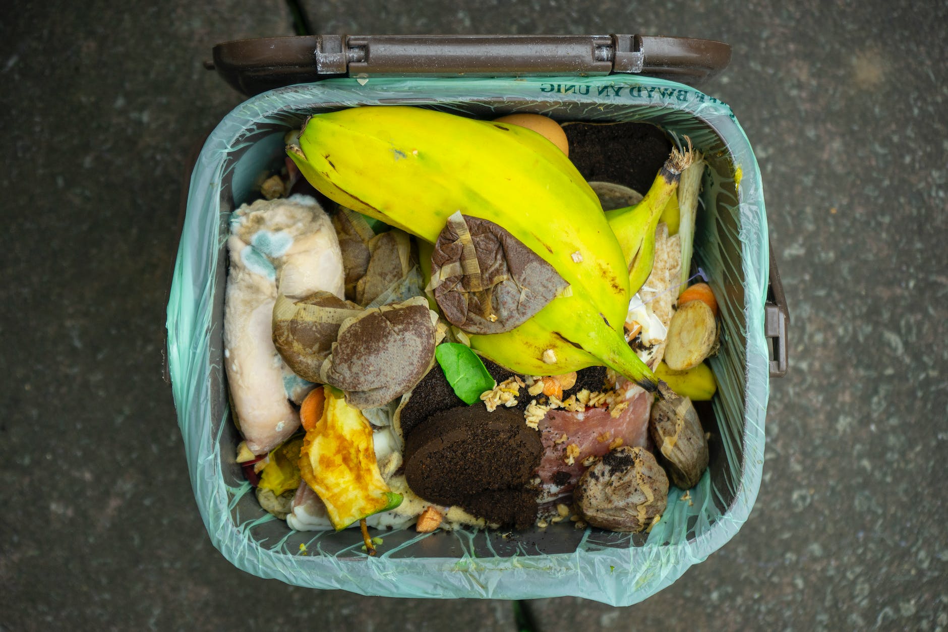 overhead shot of a garbage can with food waste