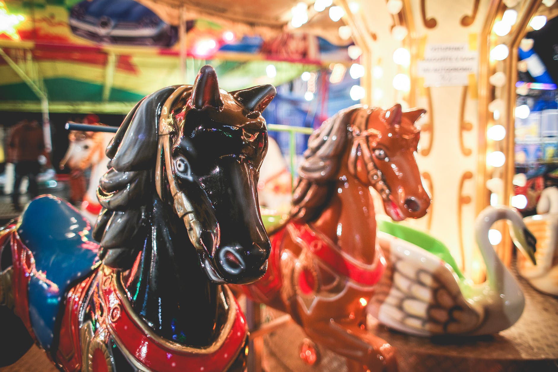 closeup photography of brown and white carousel