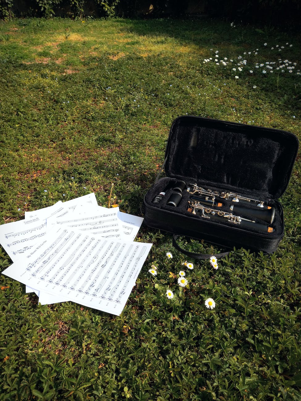 clarinet and music sheets on the grass